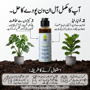 Shield and Feed neem and seaweed spray for spider mites, aphids and mealybugs