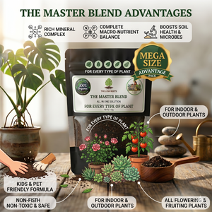 The Master Blend organic fertilizer applied to potted plant soil