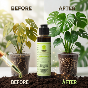 Rapid Green plant reviver for yellow and droopy houseplants