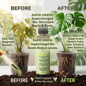Rapid Green 100ml bio-stimulant concentrate for indoor plants