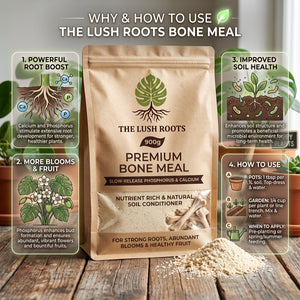 Steamed bone meal powder for roses, tomatoes and fruit trees by Lush Roots