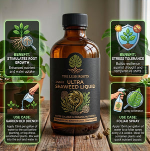 Concentrated liquid seaweed foliar spray for faster growth and heat tolerance by Lush Roots