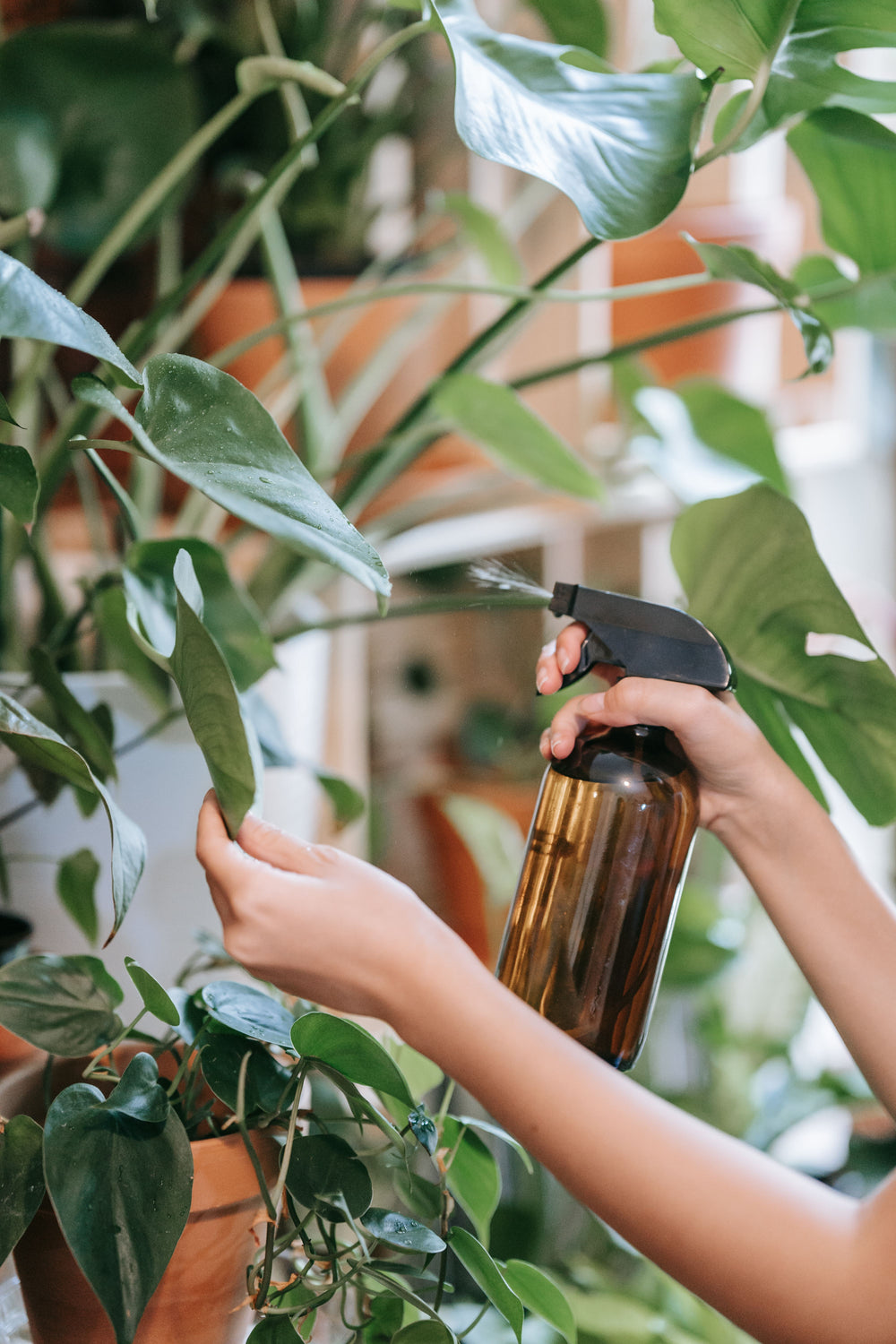 Grow your own food. Nothing sprayed on it that you did not choose.